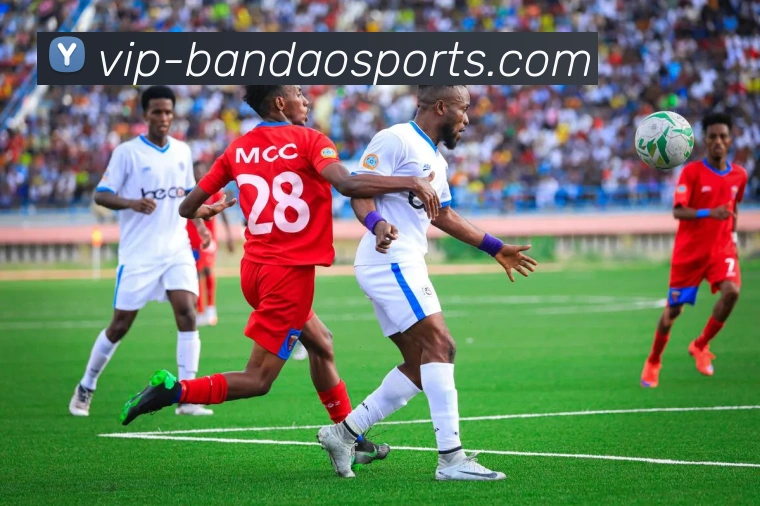 App Interface Preview