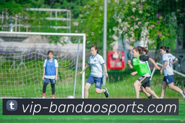 半岛体育APP 封面图