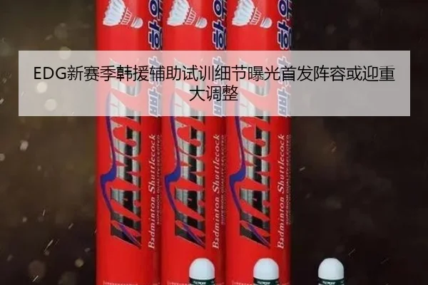 EDG新赛季韩援辅助试训细节曝光首发阵容或迎重大调整(bandao)